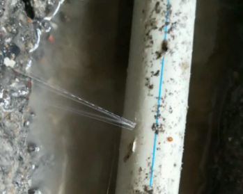 宁都卫生间测漏水多少钱