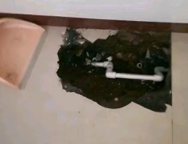 宁都卫生间测漏水多少钱